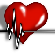 Cardiovascular Health - Your Wellness Centre