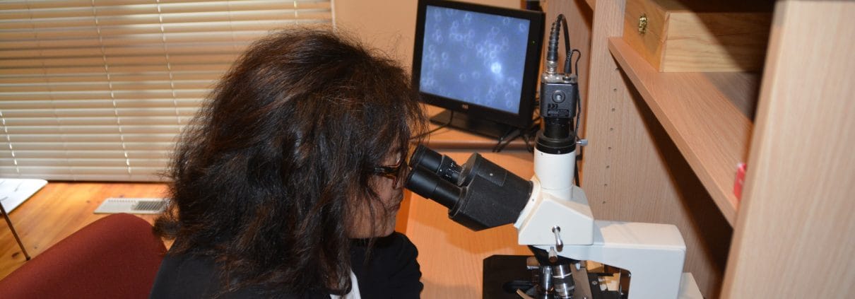 Live Blood Analysis - Your Wellness Centre Naturopathy