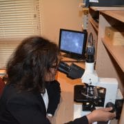 Live Blood Analysis - Your Wellness Centre Naturopathy