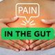 pain the gut